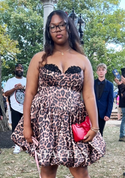 Leopard Print Strapless Homecoming Dress with Flared Bubble Skirt S8800H - Homecoming  Dresses - Stacees