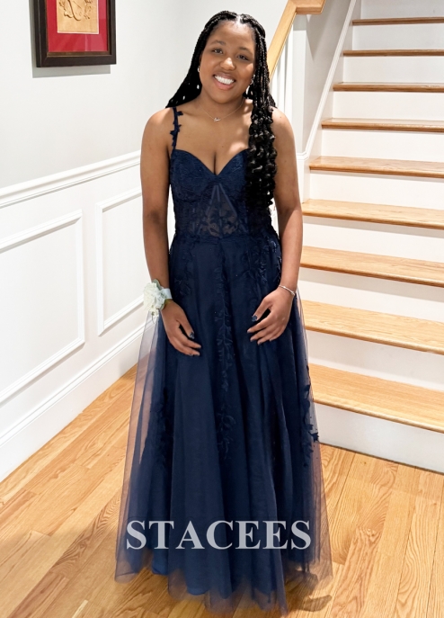 A-line V Neck Sleeveless Sweep Train Tulle Prom Dress with